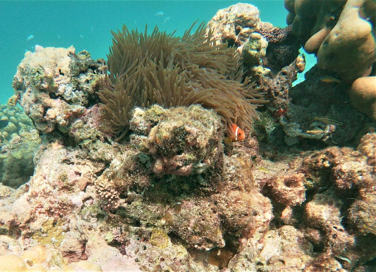 One The Island Ξενοδοχείο Naifaru Εξωτερικό φωτογραφία