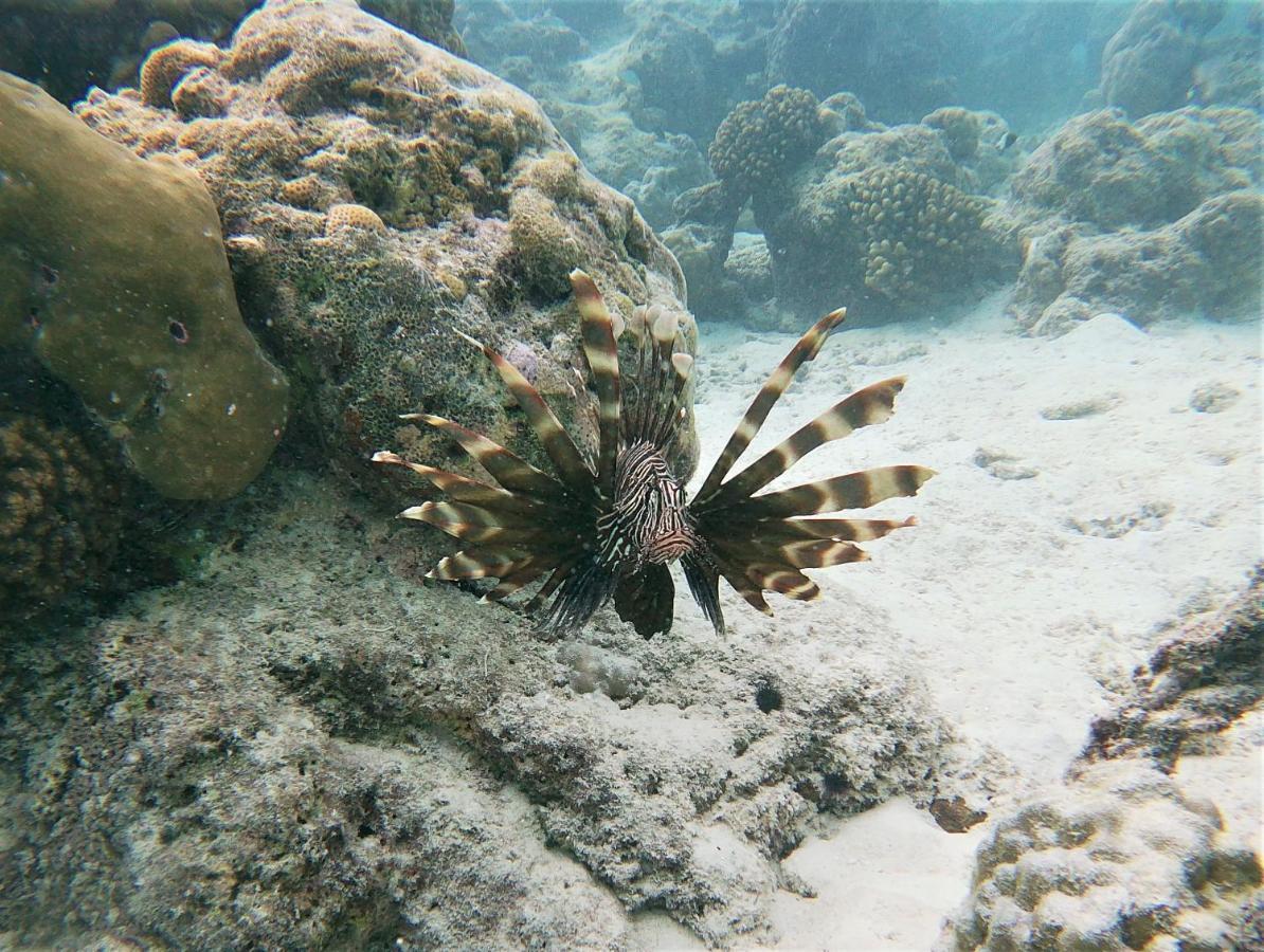 One The Island Ξενοδοχείο Naifaru Εξωτερικό φωτογραφία