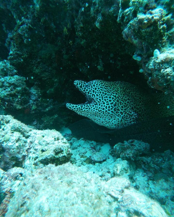 One The Island Ξενοδοχείο Naifaru Εξωτερικό φωτογραφία