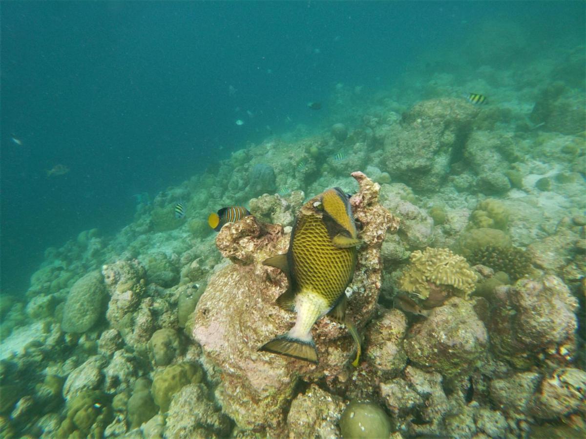 One The Island Ξενοδοχείο Naifaru Εξωτερικό φωτογραφία
