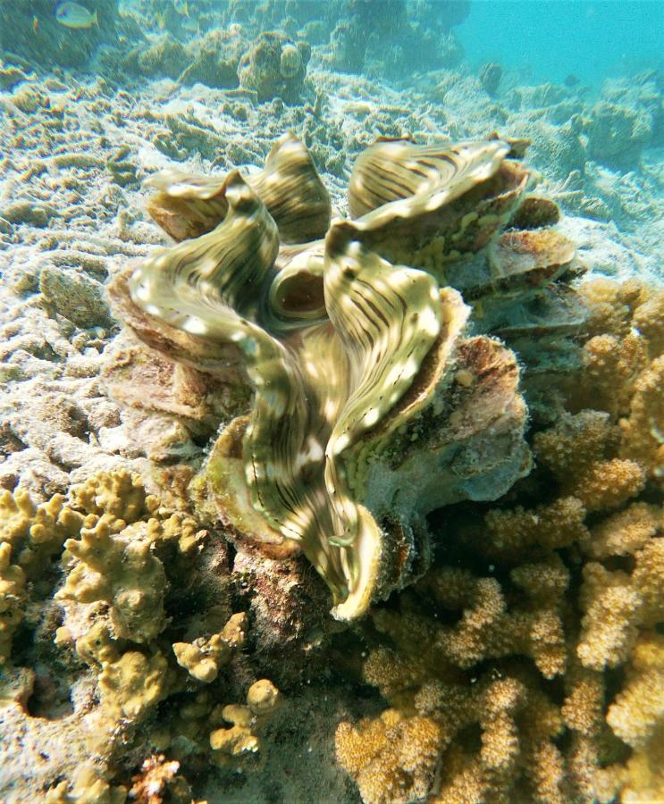 One The Island Ξενοδοχείο Naifaru Εξωτερικό φωτογραφία