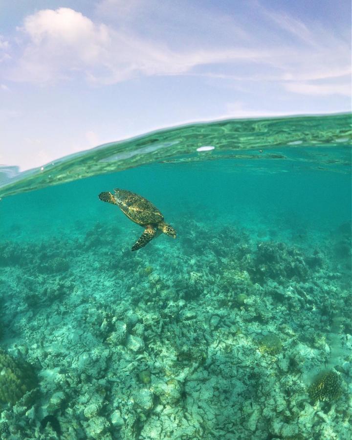 One The Island Ξενοδοχείο Naifaru Εξωτερικό φωτογραφία