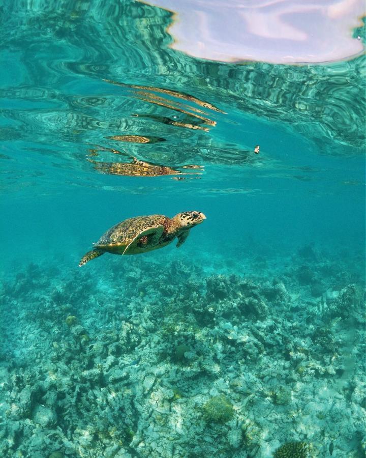 One The Island Ξενοδοχείο Naifaru Εξωτερικό φωτογραφία