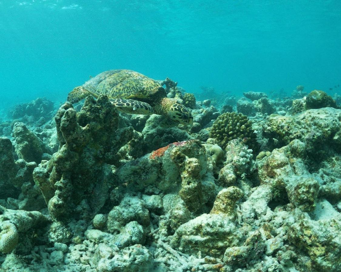 One The Island Ξενοδοχείο Naifaru Εξωτερικό φωτογραφία