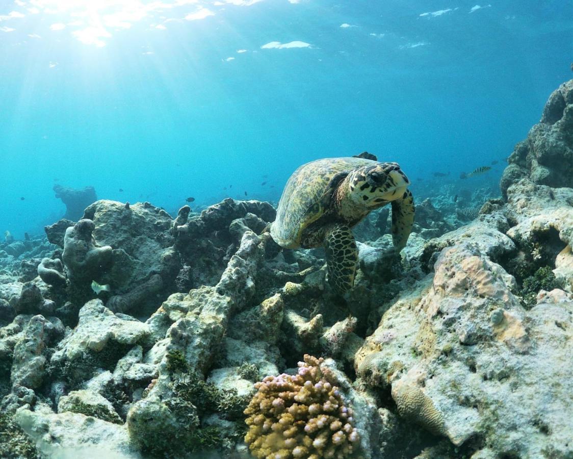 One The Island Ξενοδοχείο Naifaru Εξωτερικό φωτογραφία