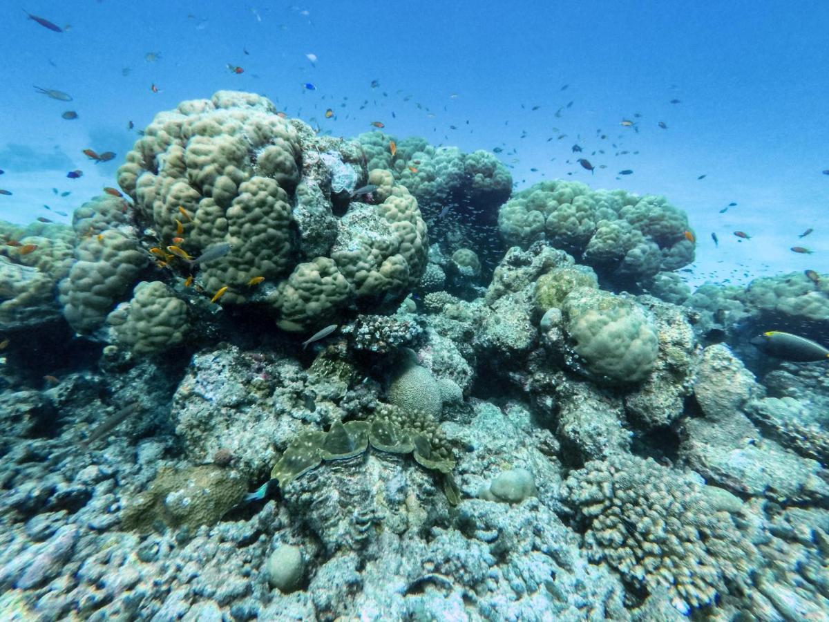 One The Island Ξενοδοχείο Naifaru Εξωτερικό φωτογραφία